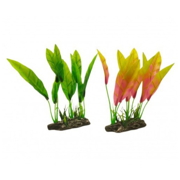 ΔΙΑΚΟΣΜΗΤΙΚΟ ΦΥΤΟ ΕΝΥΔΡΕΙΟΥ 20Χ11.5CM